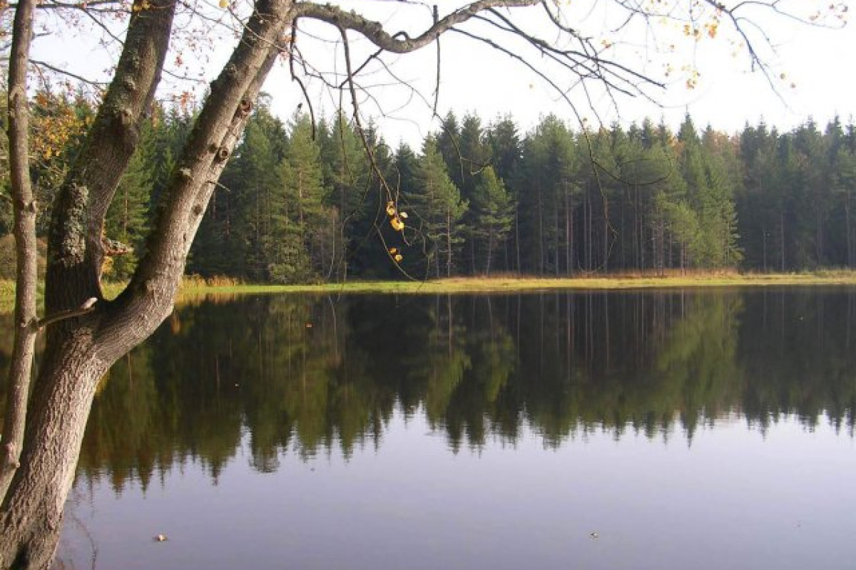 rybník Podhorák