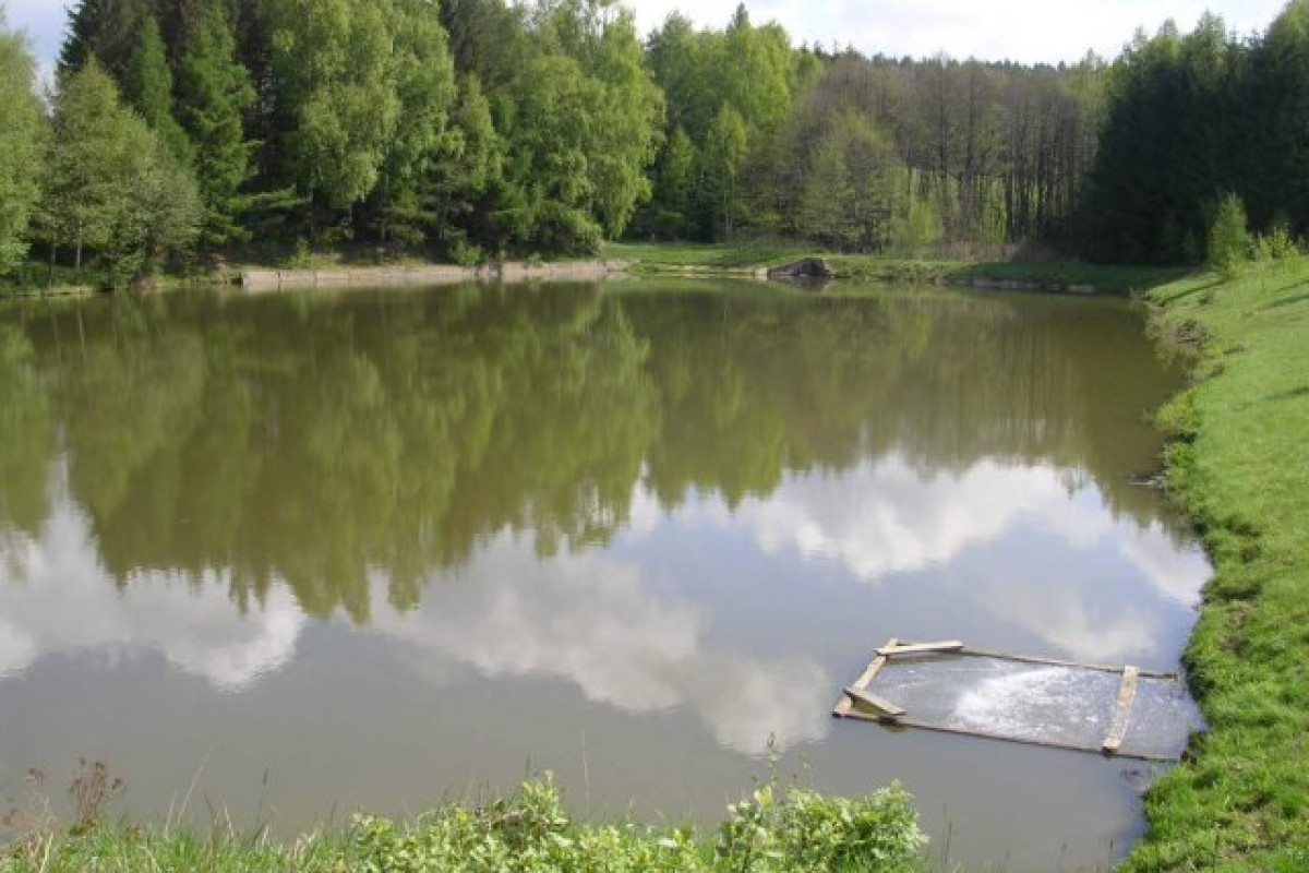 rybník v Koutech