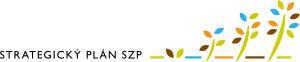 logo st